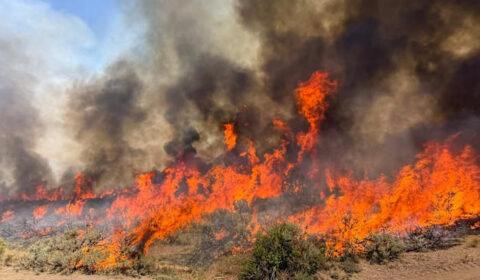 Pilots of helicopter that crashed while fighting wildfire in Utah are dead, officials say