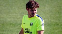 Atletico's Alvarez will return after 'learning experience' - Simeone