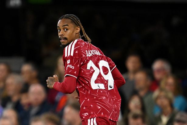 Bradley Barcola has already claimed Premier League record after Liverpool debut