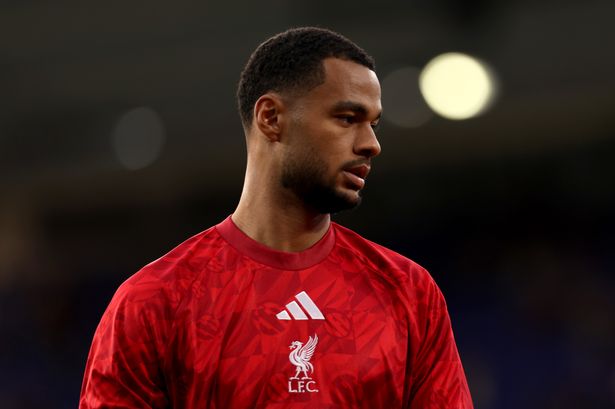 Cody Gakpo's 'head got turned' as future at Liverpool outlined after transfer decision
