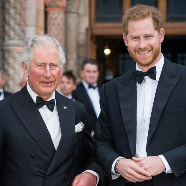 Has Prince Harry Spoken to King Charles Since U.K. Return? The Truth