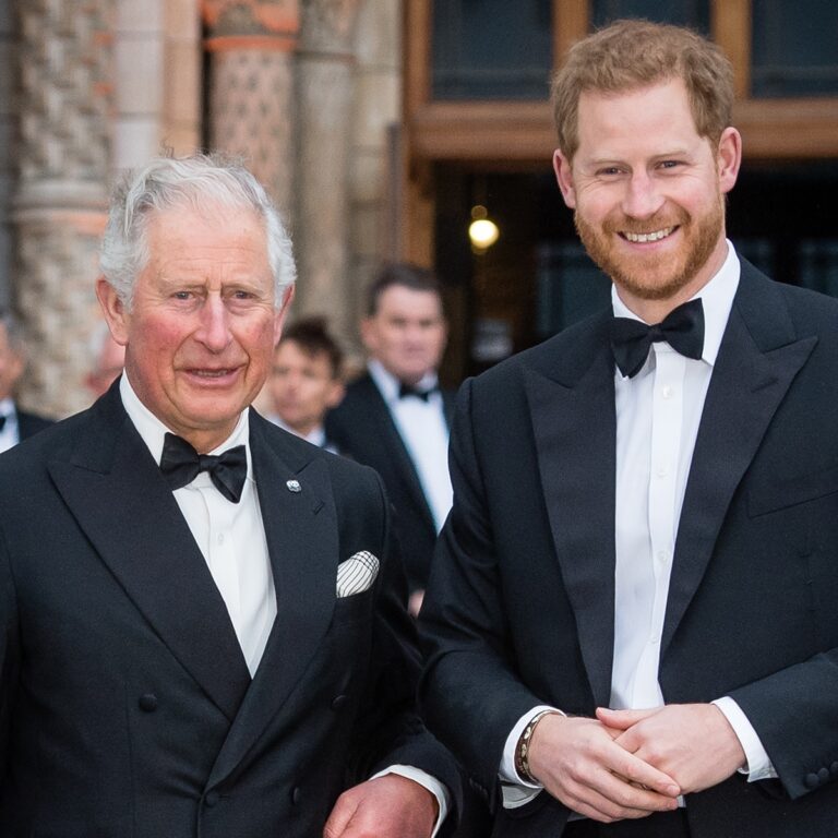 Has Prince Harry Spoken to King Charles Since U.K. Return? The Truth