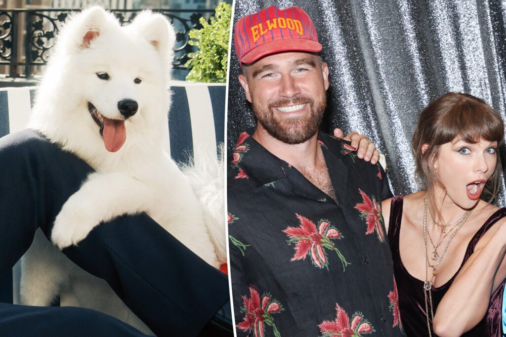 Taylor Swift and Travis Kelce’s dog’s name finally revealed