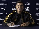 The crazy £3.46bn transfer window broken down: Experts explain why Premier League is becoming a 'closed shop', how 'middle-tier' clubs like Brighton plunder Europe and the knock-on effects... and the one signing insiders believe is a bargain