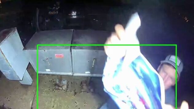 Camera captures man stealing mail in Northwest Side neighborhood