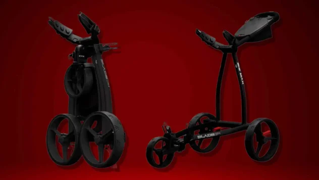 I'm not usually a fan of push carts, but this one quickly won me over