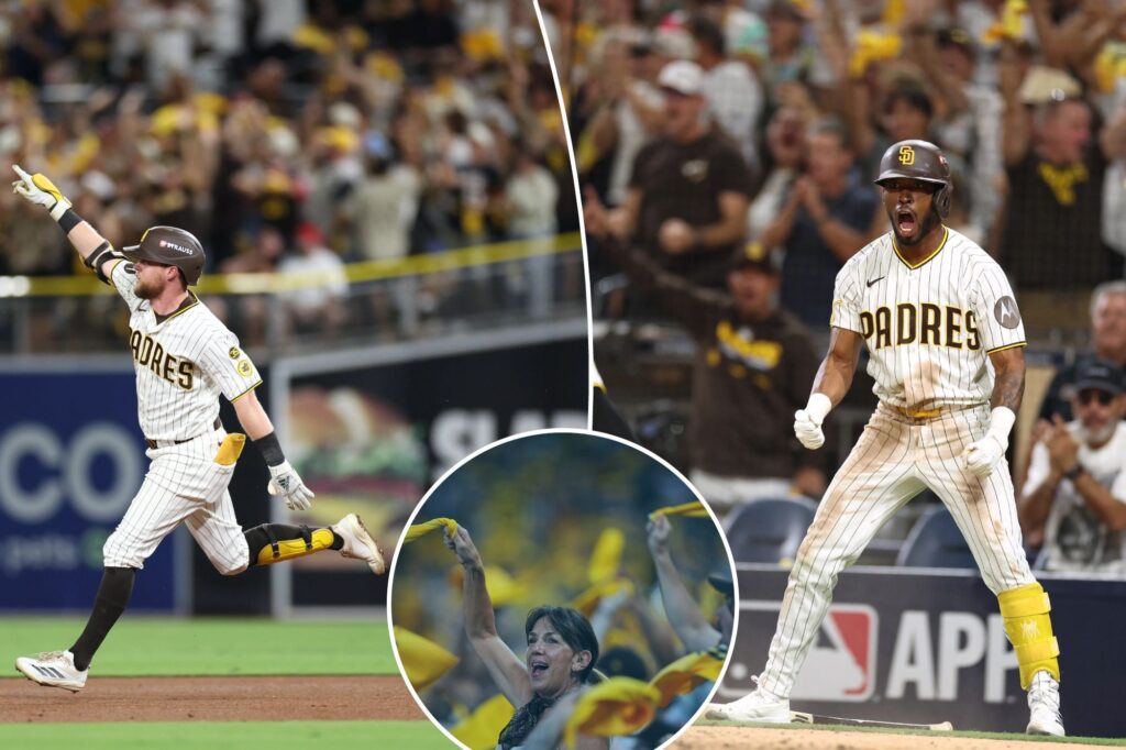 Padres refuse to die as unlikely heroes save season against Brewers