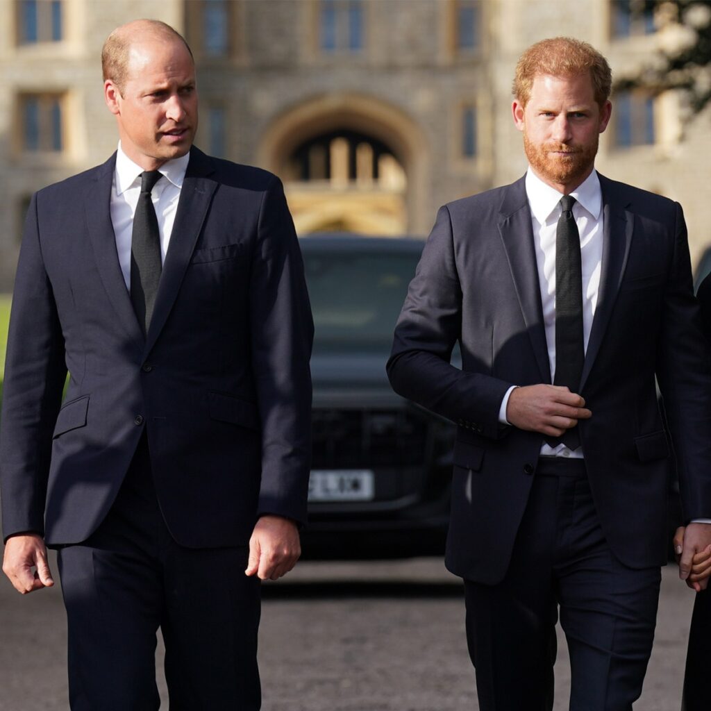 Prince Harry Says He Grieves Prince William, King Charles Relationship