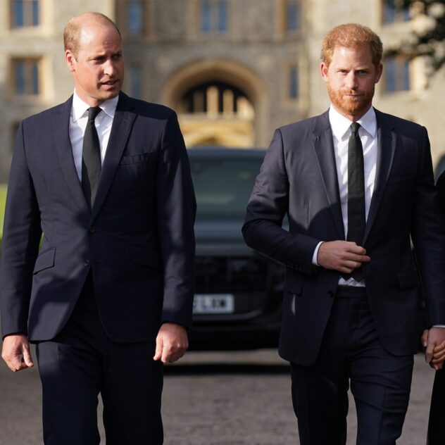 Prince Harry Says He Grieves Prince William, King Charles Relationship