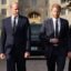Prince Harry Says He Grieves Prince William, King Charles Relationship