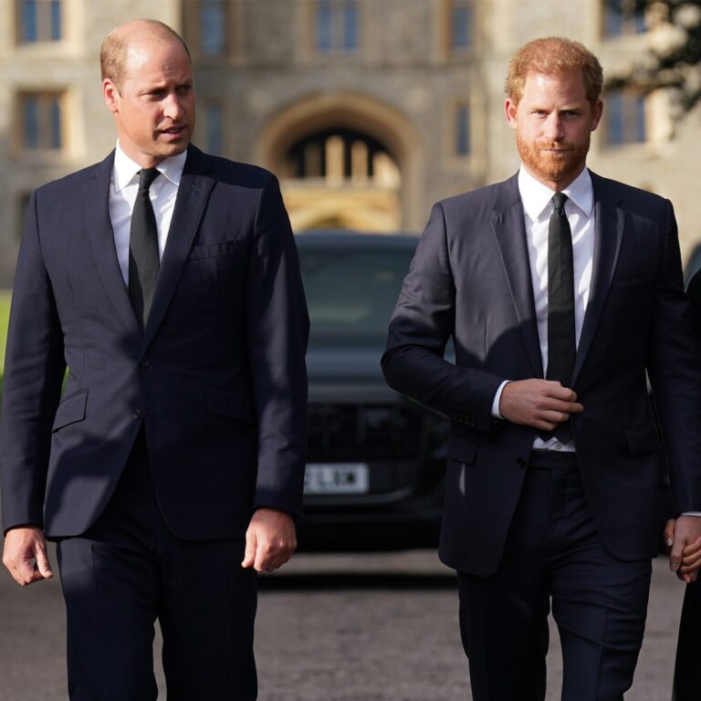 Prince Harry Says He Grieves Prince William, King Charles Relationship