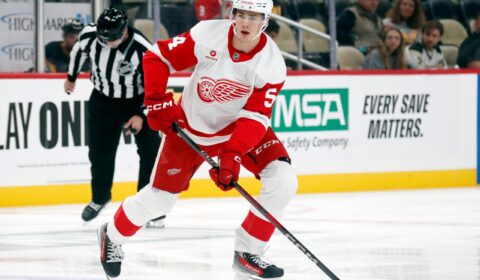 Red Wings Rookie Not Flashy, But Effective
