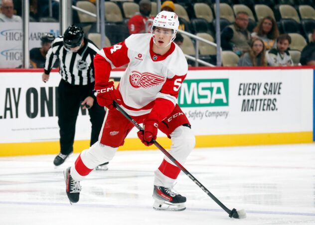 Red Wings Rookie Not Flashy, But Effective