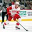 Red Wings Rookie Not Flashy, But Effective