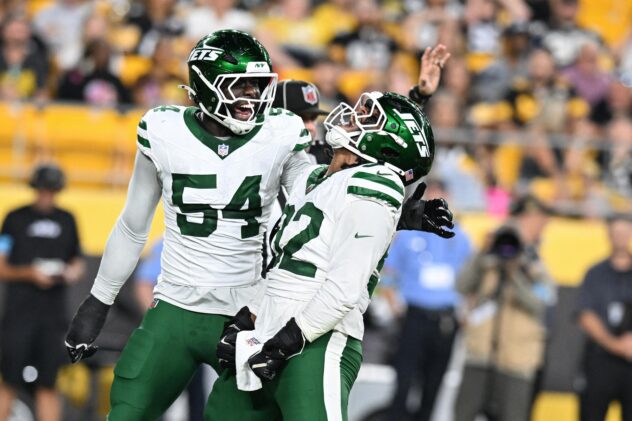 With Braiden McGregor injured, Jets sign Nate Lynn to active roster