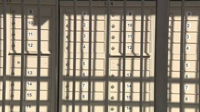 Woman seeks answers after alleged mail thief steals passport days before her trip abroad
