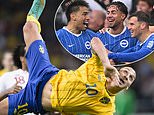 Zlatan Ibrahimovic's acrobatic brilliance against England, Jamie Vardy's volley and a belter at Blackpool... after Diego Gomez's halfway-line stunner for Brighton, our experts pick their favourite goal